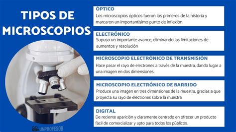 Descubre Los Diferentes Tipos De Microscopios Y Sus Funciones Cfn