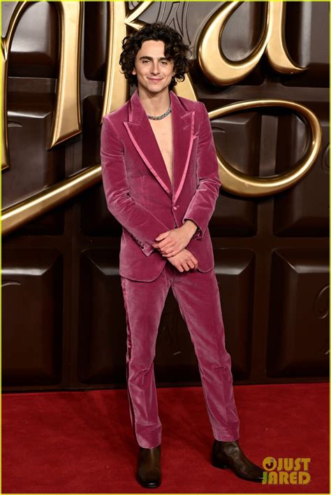 Timothee Chalamet Wears Pink Velvet Suit with No Shirt at 'Wonka' World ...