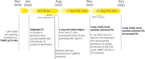 Patients Timeline Tnbc Triple Negative Breast Cancer Ct