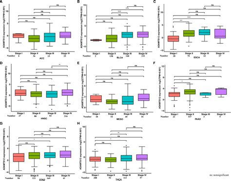 Frontiers An Integrated Pan Cancer Analysis Of Adamts And Its