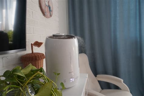 Ответы Mail: Может ли вода в увлажнителе протухнуть и он начнёт ...