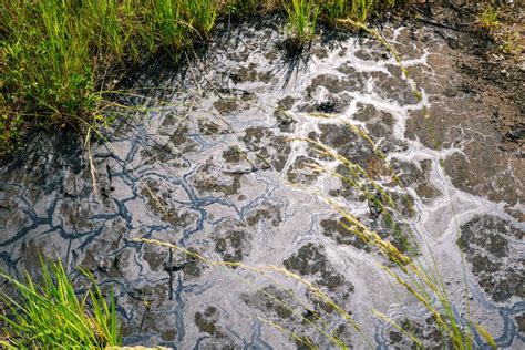 Soil Pollution by Oil and Fuel Oil. Oil Spill Stock Photo - Image of ...