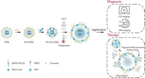 Frontiers Integrated Micro Nano Drug Delivery System Based On