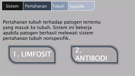 Powerpoint Sistem Pertahanan Tubuh Pada Manusia Bab V Biologi Kelas 11