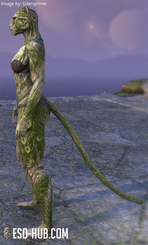 Barkroot Blessing ESO Hub Elder Scrolls Online