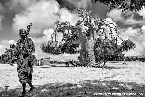 Ai Pide Acciones Urgentes Por La Dura Sequía En Madagascar