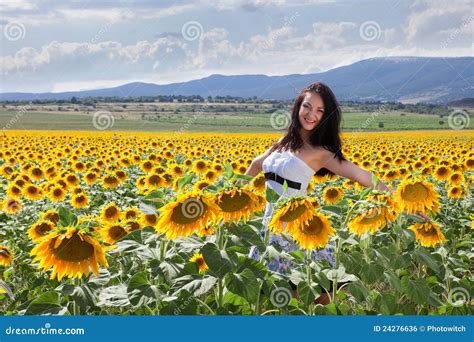 Het Gebied Van De Zonnebloem In Bulgarije Stock Foto Image Of Zomer