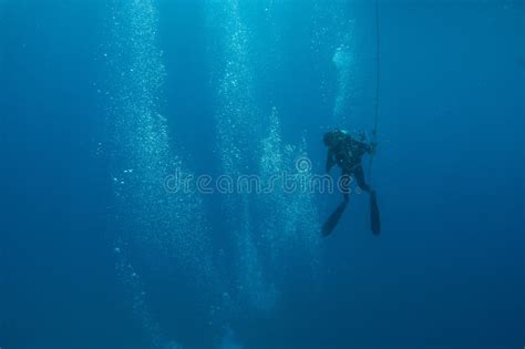 A Scuba Diver Heads Toward The Surface After A Dive Stock Photo