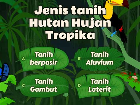 Taburan Sumber Hutan Di Malaysia Quiz