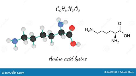 Lysine Molecule Structure Royalty Free Stock Image 53033722