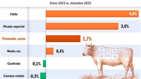 Los Cortes Vacunos Piden Pista Para Nuevos Aumentos De Precios Perfil