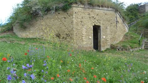 Visite Atelier Flower Power En Famille Fort Des Dunes