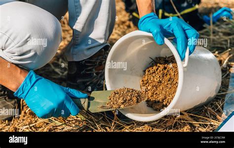 Soil Testing Agronomy Specialist Taking Soil Sample For Fertility