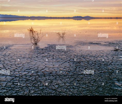 Willcox Playa Hi Res Stock Photography And Images Alamy