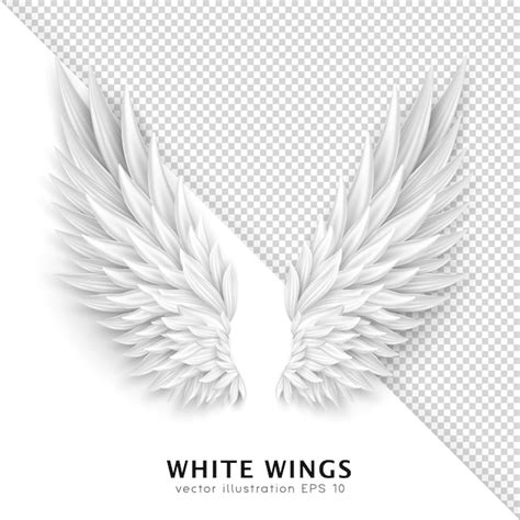 Asas de anjo branco 3d asas de pássaros realistas isoladas em fundo