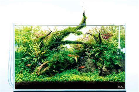 ADA NATURE AQUARIUM GUIDE 60 - Easy Scape