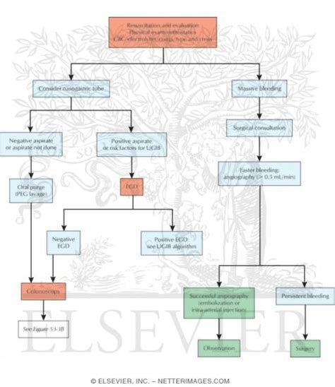 Acute Lower Gastrointestinal Bleeding