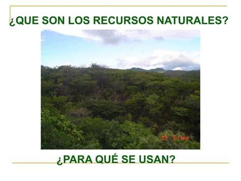 LEGISLACIÓN AMBIENTAL EN MEXICO PPT