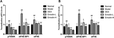 Comparison of HIF 1α p70S6K IF4E BP1 and eIF4E mRNA levels in the