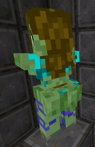 Sexy Mobs For Minecraft V1 Misc Adult Mods Loverslab