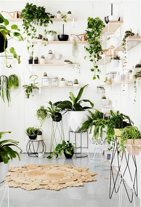 Indoor Plants Decor Ideas – savillefurniture