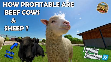 How Profitable Are Beef Cows Sheep Farming Simulator Youtube