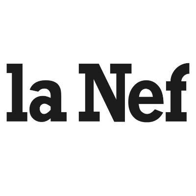 LA NEF Via Caritatis Une Voie Plus Excellente Un Pape Des Moines