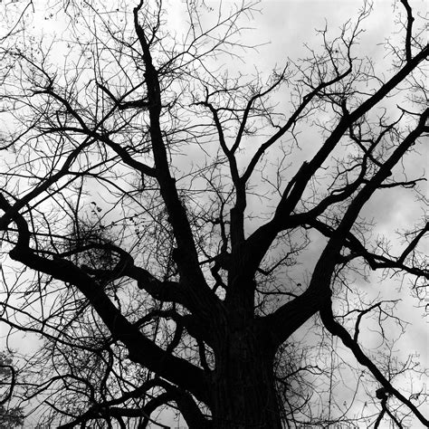 Janet Adams Photo - Home | Facebook