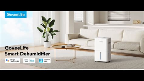 Goveelife Smart Dehumidifier For Basement Upgraded Youtube