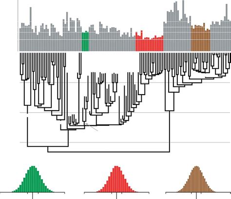 Genome-size evolution in birds, bats and pterosaurs. (a) Phylogeny and... | Download Scientific ...