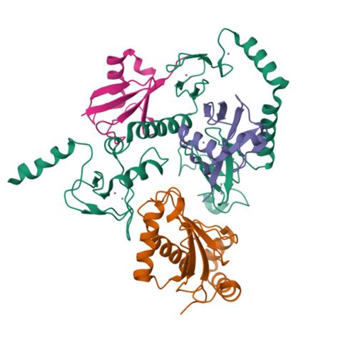 Rcsb Pdb Eaz Hoil E Ub Ub Transthiolation Complex