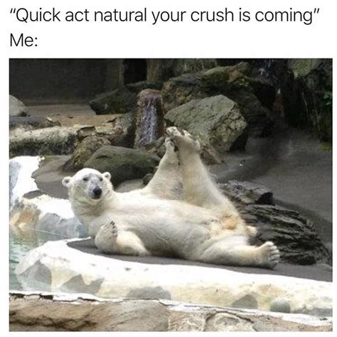 Quick Act Natural Your Crush Is Coming Me Funny