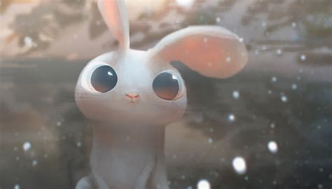 High Resolution Wallpaper rabbit - Coolwallpapers.me!