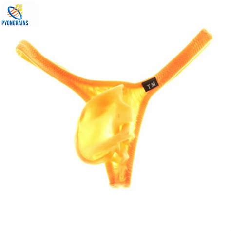 Bikini Sexy Lingerie Men Thong Gay Underwear Sheer Mens Thongs