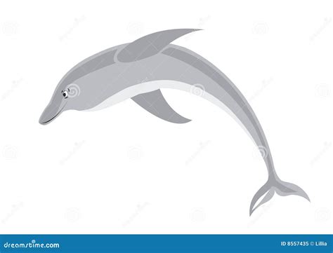 Smiling dolphin stock vector. Illustration of predator - 8557435