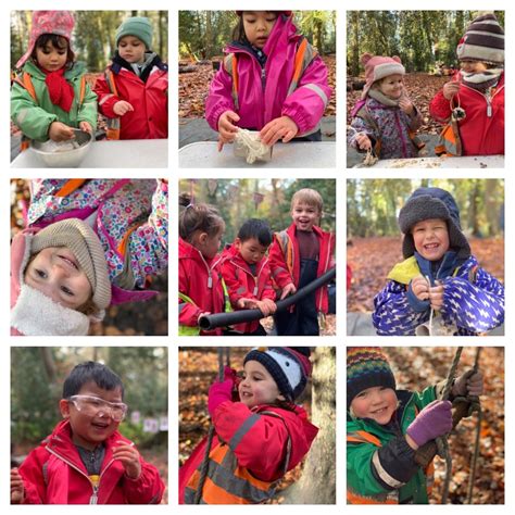 forest folk putney heath science creativity connection