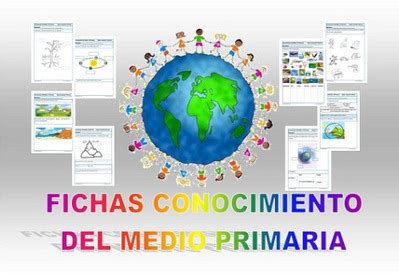 Conocimiento Del Medio Primaria 25 Fichas De Ejercicios Educacion