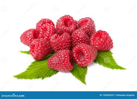 Grupo De Frutos De Frambuesa Con Hojas Aisladas En Fondo Blanco Imagen