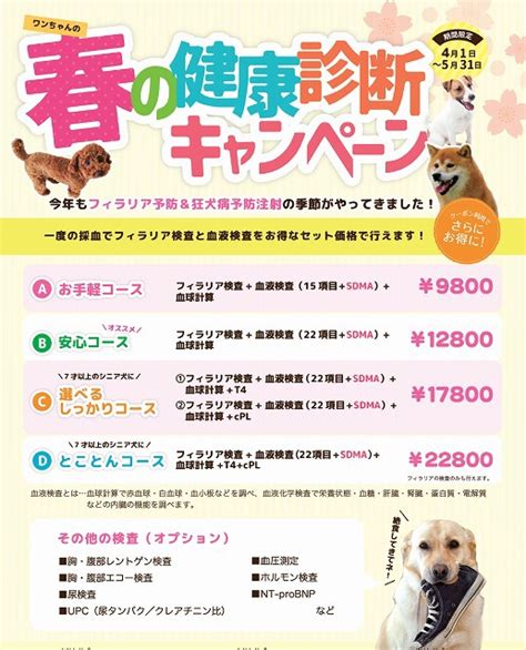 犬の「フィラリア検査＆春の健康診断キャンペーン！！」 お知らせ ココニイル動物病院｜中野・高円寺・杉並・犬・猫・フェレット・うさぎ・鳥