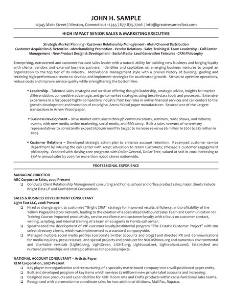 Senior Marketing Executive Resume Templates At