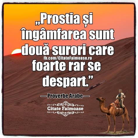 Pin Di Florina Badea Su Proverbe Riflessioni Immagini