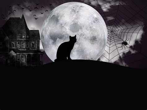 Full Moon Halloween Wallpapers - Top Free Full Moon Halloween ...