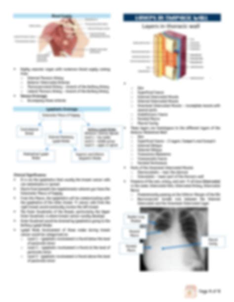 SOLUTION Anterior Thoracic Wall Thoracic Cavity Lungs And Pleura