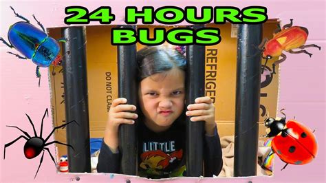 Hours In Box Fort Jail Challenge With S Of Bugs Youtube