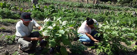 Organizaciones Plantean La Revalorizaci N Y Fortalecimiento De La