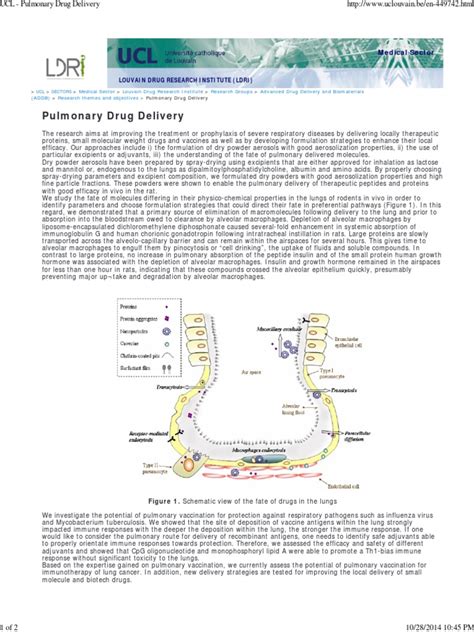 PDF UCL Pulmonary Drug Delivery DOKUMEN TIPS