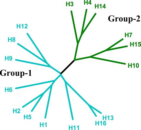 Structure Of Influenza Hemagglutinin In Complex With An Inhibitor Of