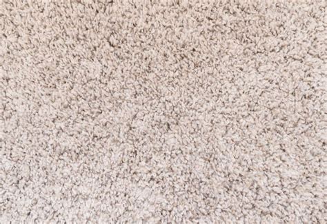 6 Different Types Of Carpeting | Guide To Types Of Carpet