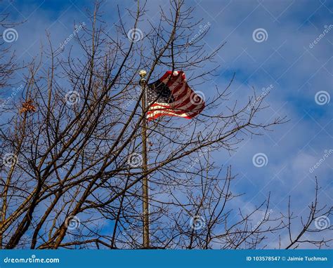 American Flag in the wind stock image. Image of pole - 103578547