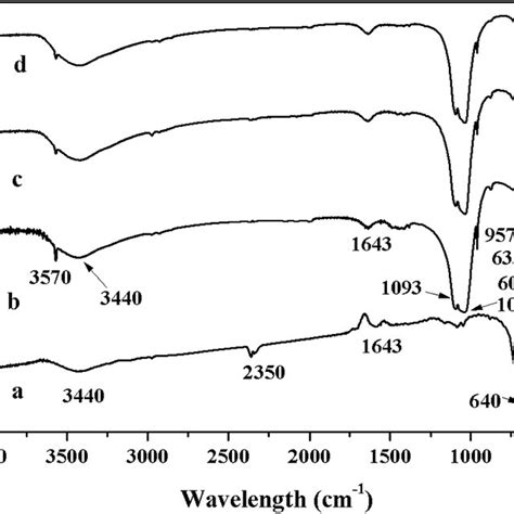 The Ft Ir Spectra Of A γ Fe2o3 B Hap C γ Fe2o3hap And D